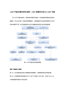 m6A甲基化的整体研究思路：m6A课题如何设计——m6A专题