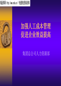 加强人工成本管理促进企业效益提高(ppt29)(1)