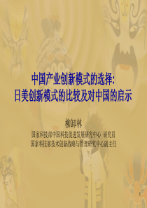 中国产业创新模式的选择050403大连