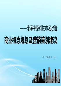 HZ商业项目策划报告