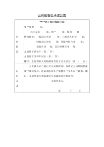 风险研判报告及承诺公告模板