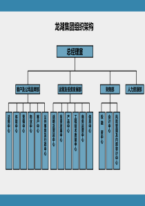 龙湖集团组织架构