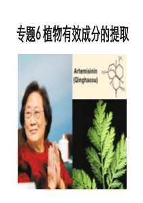 高中生物选修1专题六课题1-植物芳香油的提取