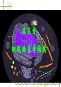 高中生物：3.1《细胞膜――系统的边界》课件(5)(新人教版必修1)