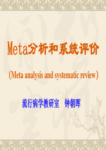 meta分析和系统评价