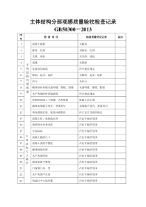 主体结构分部观感质量验收检查记录--GB50300