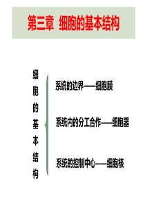 生物必修1 第三章细胞的基本结构 复习总结课件PPT