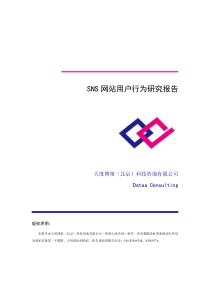 SNS网站用户行为研究报告