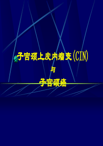 子宫颈上皮内瘤变(CIN)-PPT课件