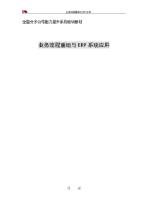 分子公司业务流程重组与ERP应用