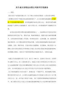 关于成立合资公司的可行性报告