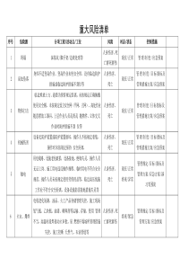 重大风险清单