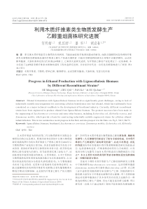 利用木质纤维素类生物质发酵生产乙醇重组菌株研究进展