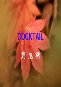 第十课-鸡尾酒酒吧酒品培训