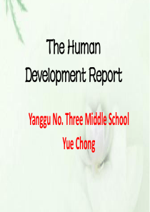 2015县优质课--The-Human-Development-Report