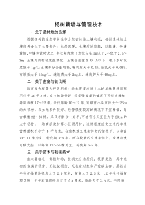 杨树栽培与管理技术