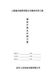 墙体开洞施工方案