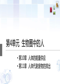 初三复习之第4单元-生物圈中的人(10、11章)