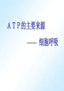 ATP的主要来源——细胞呼吸ppt