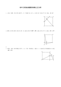 挑战中考数学压轴题——几何综合题素质训练之正方形