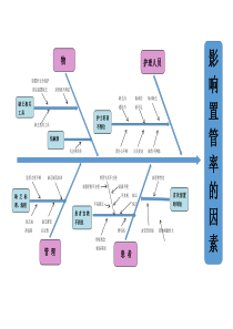 鱼骨图ppt