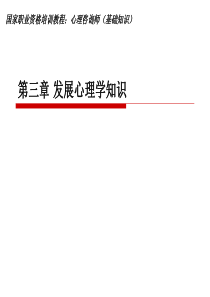 心理咨询师发展心理学(新版)