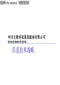 信息技术战略管理（PPT75页）