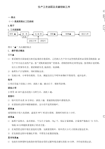 生产工艺流程及关键控制工序