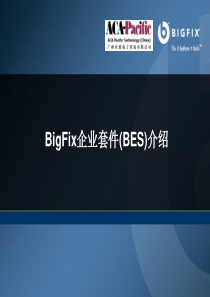 BigFix产品介绍