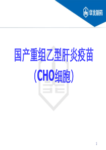 国产重组乙型肝炎疫苗(CHO细胞)