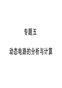 2019届沪科版九年级物理全册习题课件：专题五