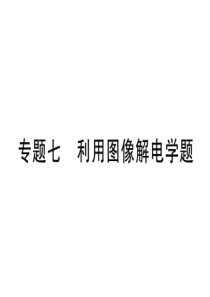 2019届沪科版九年级物理全册习题课件：专题七