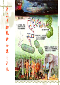 细胞的起源与进化-进化生物学-课件-03