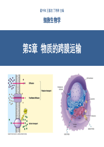 第5章--物质的跨膜运输