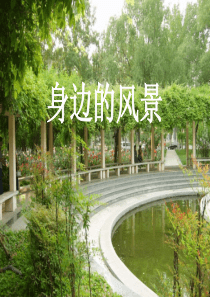 《身边的风景》课件