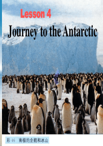 高二英语JourneytotheAntarctic课件