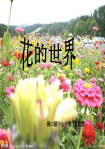 花的作文课件