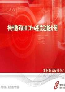 神州数码DHCPv6相关功能介绍