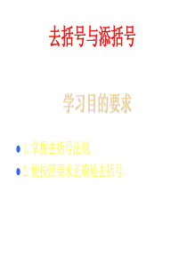 去括号和添括号