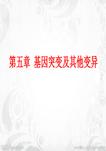 基因突变、基因重组和染色体变异