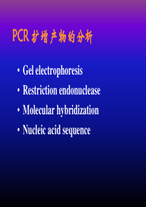 PCR扩增产物的分析