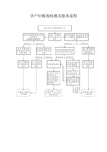 孕产妇梅毒检测及服务流程