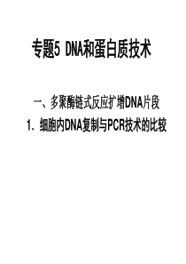 高中生物选修1《专题5-DNA和蛋白质技术》复习课件