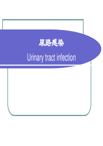 尿路感染(肾盂肾炎、膀胱炎、尿道炎)