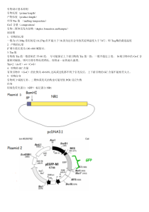 引物设计实例分析(多图)