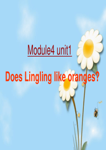 外研版英语三年级下册M4u2-Does-lingling-like-oranges