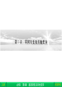 基因突变和基因重组-染色体变异