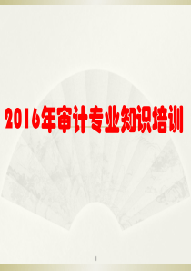 2016年审计专业知识培训