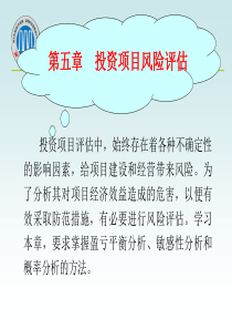 第五章投资项目的风险评估