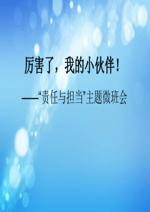 “责任与担当”主题微班会课课件《厉害了-我的小伙伴!》